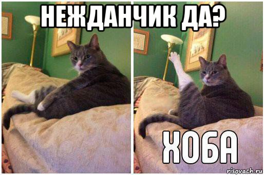 нежданчик да? , Комикс Кот Хоба