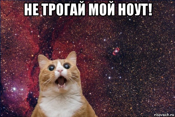 не трогай мой ноут! 