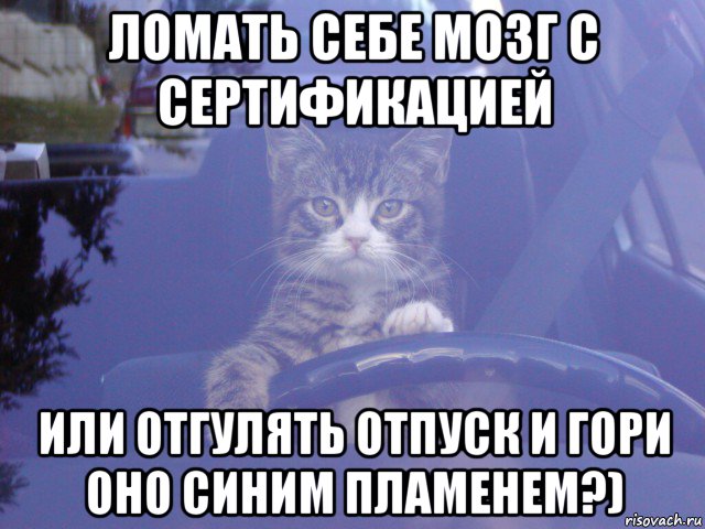 ломать себе мозг с сертификацией или отгулять отпуск и гори оно синим пламенем?)