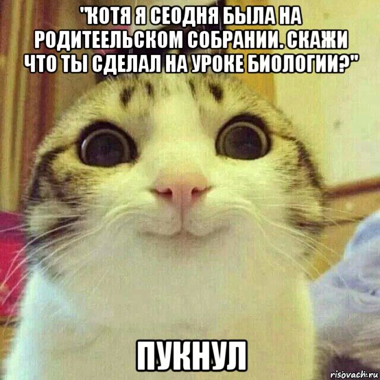 "котя я сеодня была на родитеельском собрании. скажи что ты сделал на уроке биологии?" пукнул, Мем       Котяка-улыбака