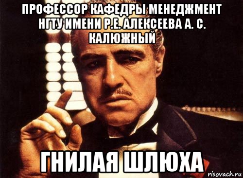 профессор кафедры менеджмент нгту имени р.е. алексеева а. с. калюжный гнилая шлюха, Мем крестный отец