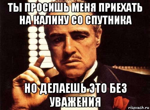 ты просишь меня приехать на калину со спутника но делаешь это без уважения, Мем крестный отец