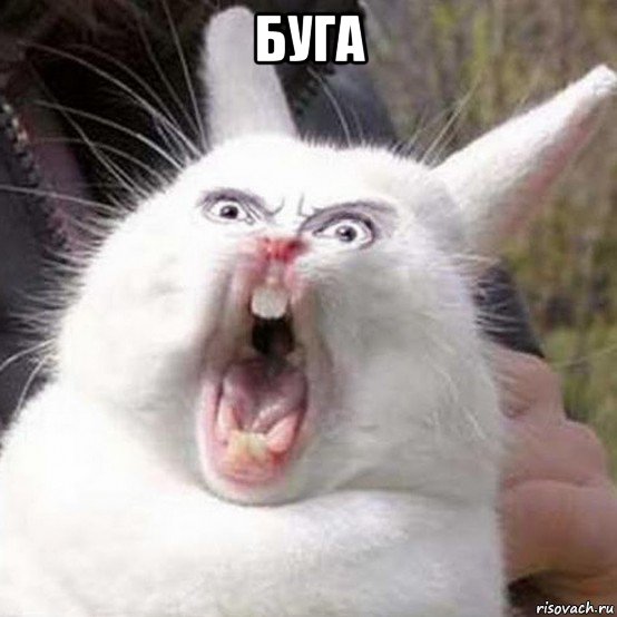 буга 