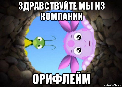 здравствуйте мы из компании орифлейм