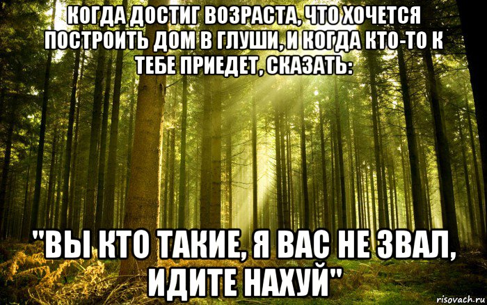 когда достиг возраста, что хочется построить дом в глуши, и когда кто-то к тебе приедет, сказать: "вы кто такие, я вас не звал, идите нахуй", Мем Лес