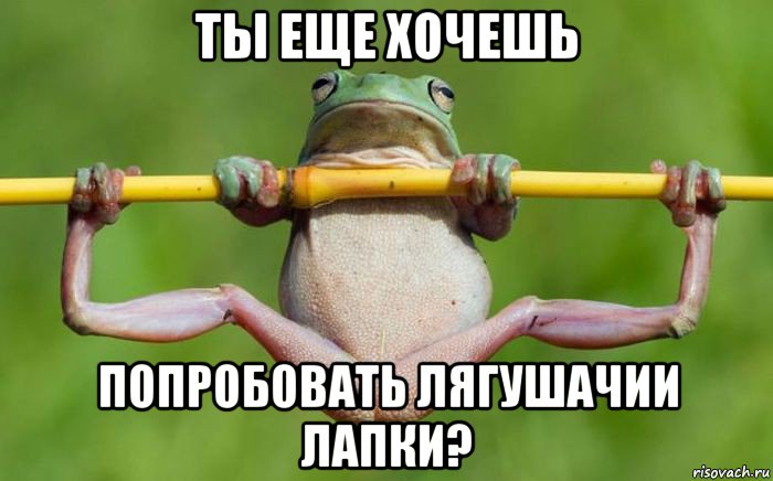 ты еще хочешь попробовать лягушачии лапки?, Мем Лягушка