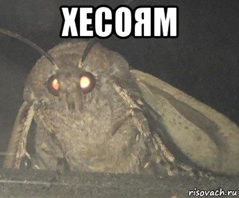 хесоям 