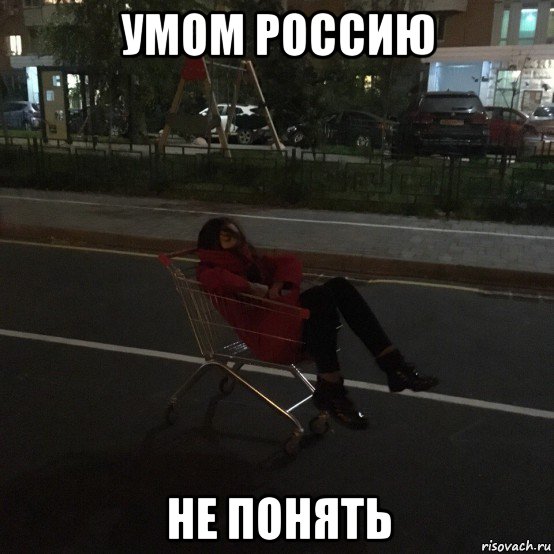 умом россию не понять