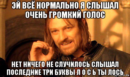 эй всё нормально я слышал очень громкий голос нет ничего не случилось слышал последние три буквы л о с ь ты лось, Мем Нельзя просто так взять и (Боромир мем)