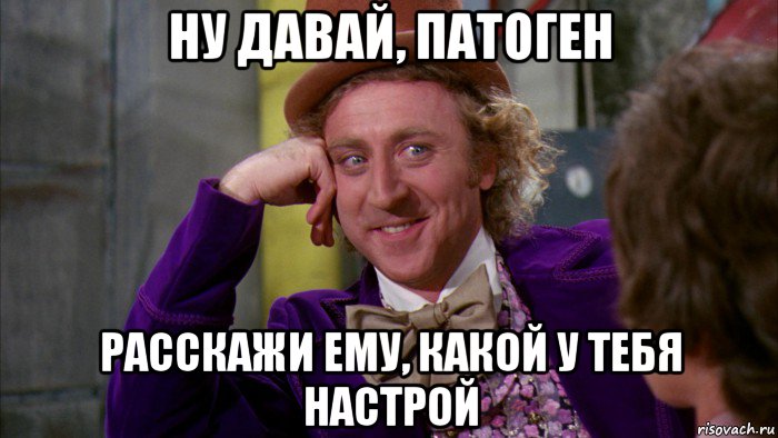 ну давай, патоген расскажи ему, какой у тебя настрой, Мем Ну давай расскажи (Вилли Вонка)