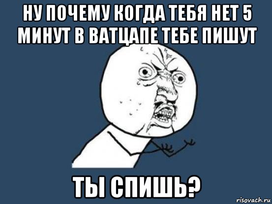 ну почему когда тебя нет 5 минут в ватцапе тебе пишут ты спишь?, Мем Ну почему