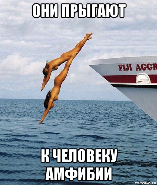 они прыгают к человеку амфибии