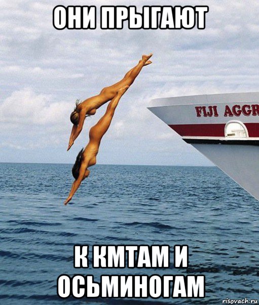 они прыгают к кмтам и осьминогам