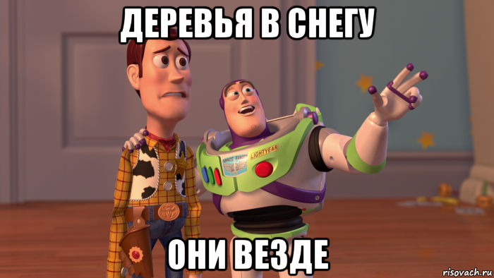 деревья в снегу они везде