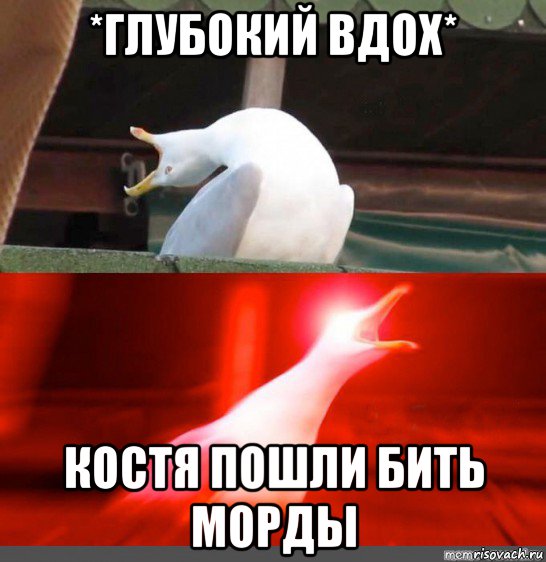*глубокий вдох* костя пошли бить морды