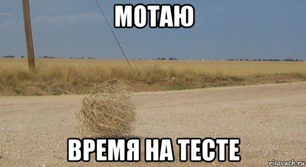 мотаю время на тесте, Мем перекати-поле одиночество