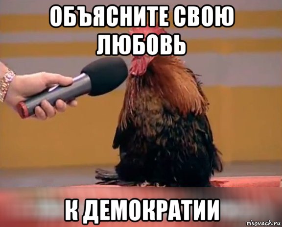 объясните свою любовь к демократии