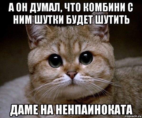 а он думал, что комбини с ним шутки будет шутить даме на ненпаиноката, Мем Пидрила Ебаная