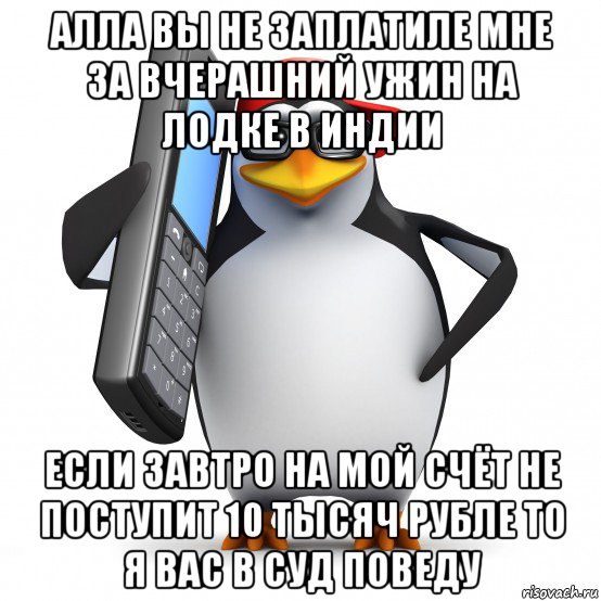 алла вы не заплатиле мне за вчерашний ужин на лодке в индии если завтро на мой счёт не поступит 10 тысяч рубле то я вас в суд поведу, Мем   Пингвин звонит