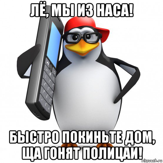 лё, мы из наса! быстро покиньте дом, ща гонят полицаи!, Мем   Пингвин звонит