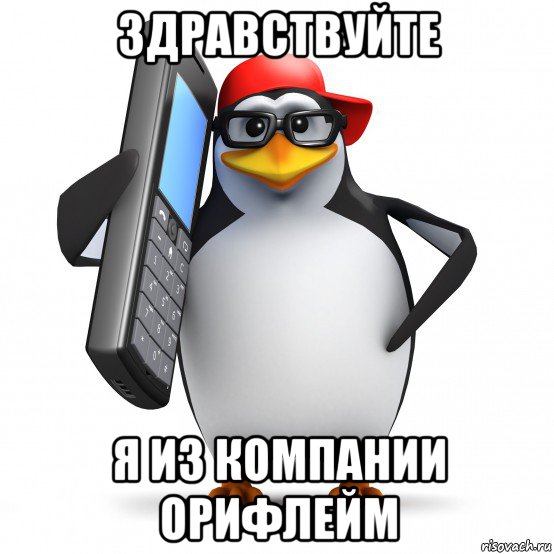 здравствуйте я из компании орифлейм, Мем   Пингвин звонит