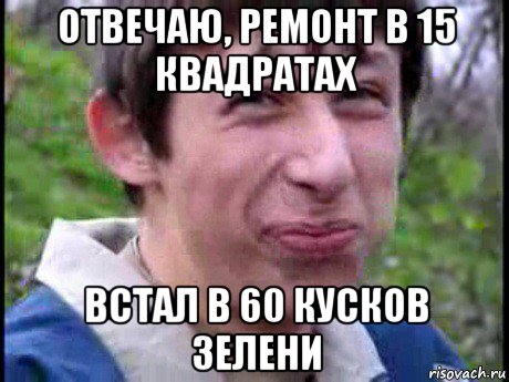 отвечаю, ремонт в 15 квадратах встал в 60 кусков зелени, Мем Пиздабол (врунишка)