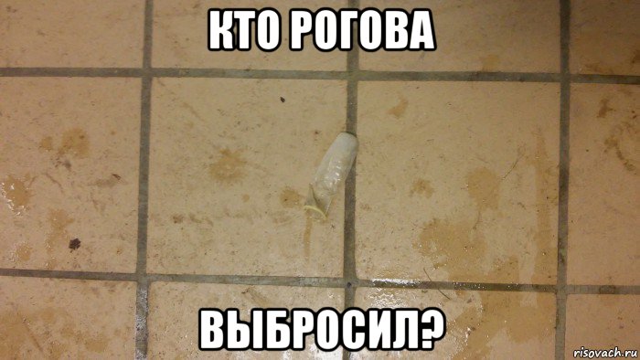 кто рогова выбросил?