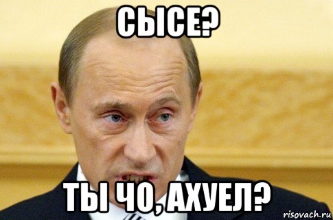 сысе? ты чо, ахуел?, Мем путин