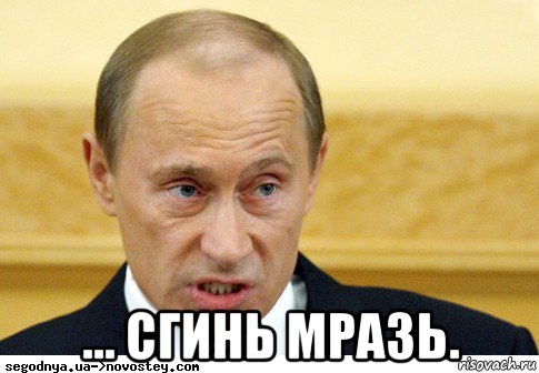  ... сгинь мразь., Мем  Путин