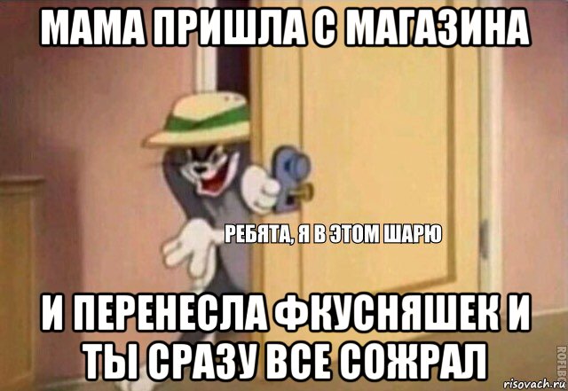 мама пришла с магазина и перенесла фкусняшек и ты сразу все сожрал, Мем    Ребята я в этом шарю