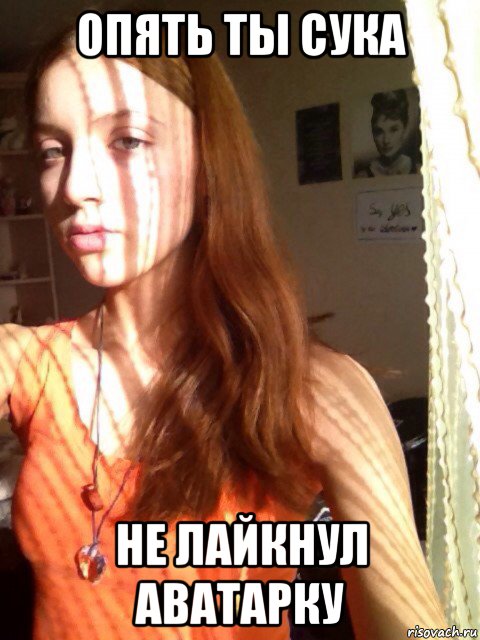 опять ты сука не лайкнул аватарку