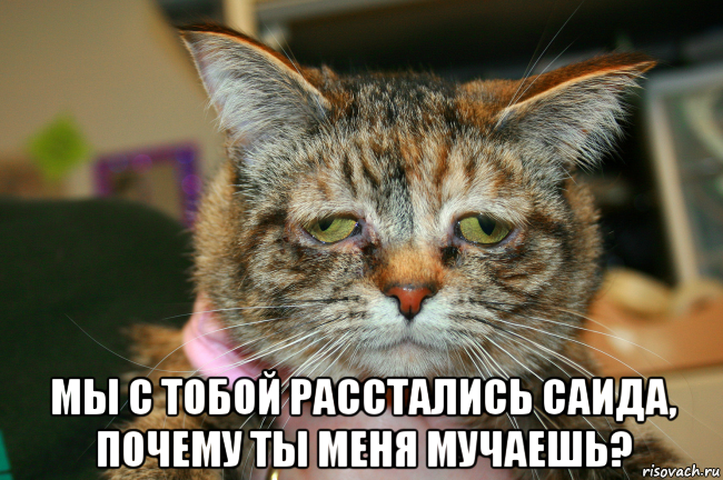  мы с тобой расстались саида, почему ты меня мучаешь?