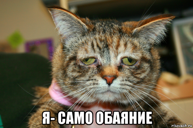  я- само обаяние