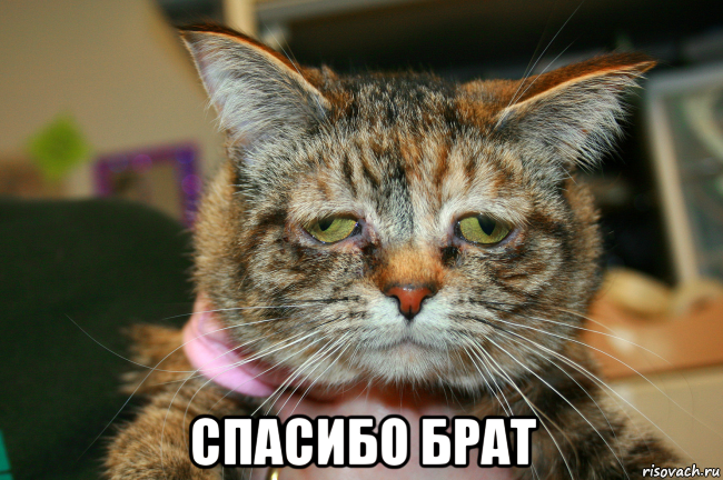  спасибо брат