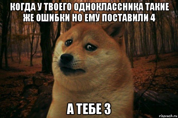 когда у твоего одноклассника такие же ошибки но ему поставили 4 а тебе 3, Мем SAD DOGE