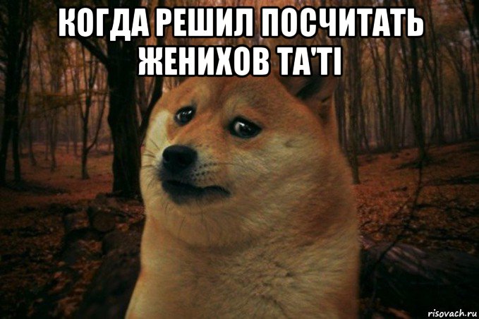 когда решил посчитать женихов ta'ti , Мем SAD DOGE