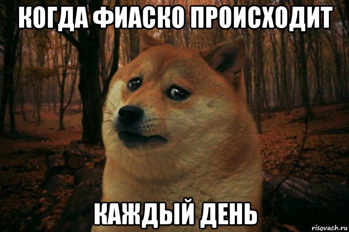 когда фиаско происходит каждый день, Мем SAD DOGE