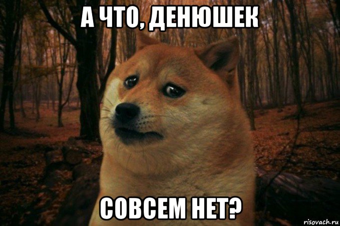 а что, денюшек совсем нет?, Мем SAD DOGE