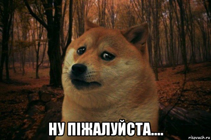  ну піжалуйста...., Мем SAD DOGE