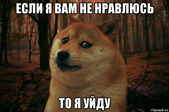 если я вам не нравлюсь то я уйду, Мем SAD DOGE