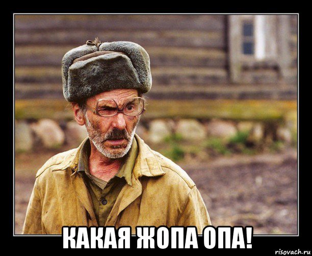 какая жопа опа!, Мем Шо бля