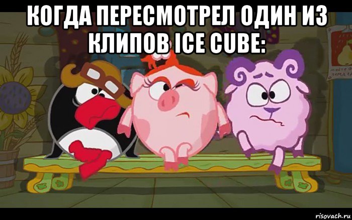 когда пересмотрел один из клипов ice cube: 