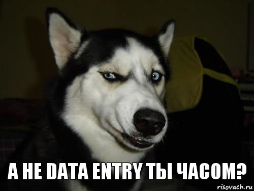 А не Data entry ты часом?, Комикс  Собака подозревака