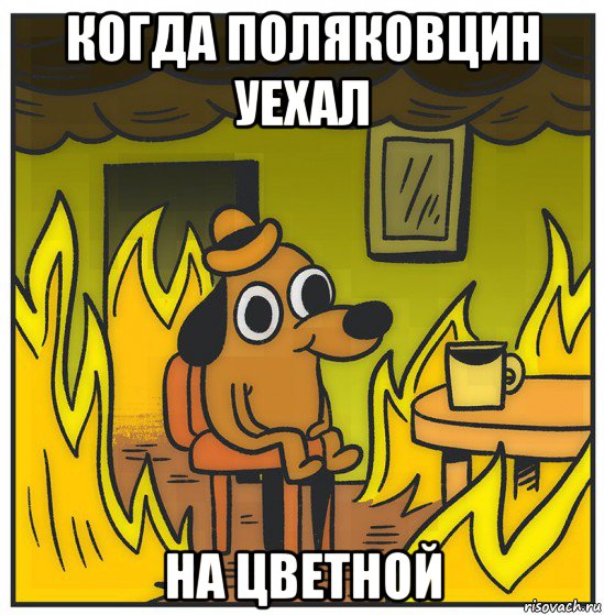 когда поляковцин уехал на цветной