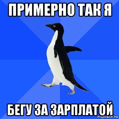 примерно так я бегу за зарплатой, Мем  Социально-неуклюжий пингвин