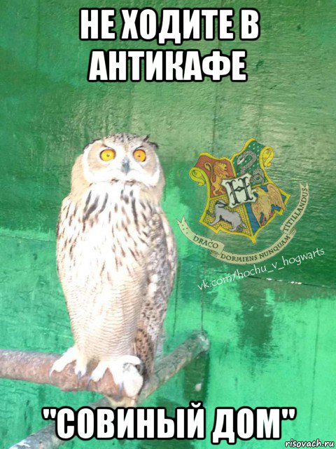 не ходите в антикафе "совиный дом"