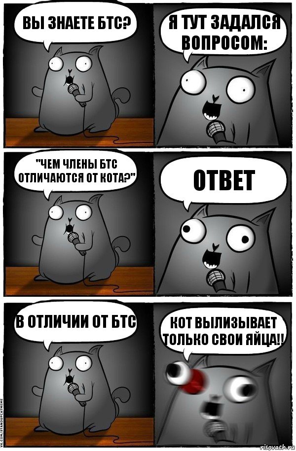 Вы знаете БТС? Я тут задался вопросом: "Чем члены БТС отличаются от кота?" Ответ В отличии от БТС Кот вылизывает только свои яйца!!