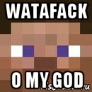 watafack o my god, Мем стив