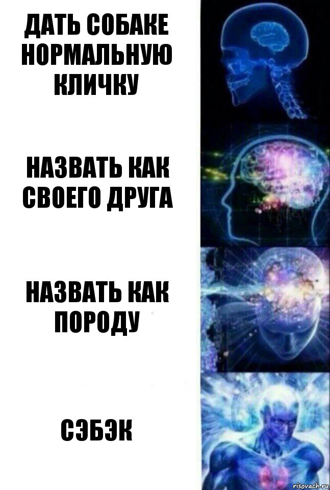 Дать собаке нормальную кличку Назвать как своего друга Назвать как породу Сэбэк, Комикс  Сверхразум