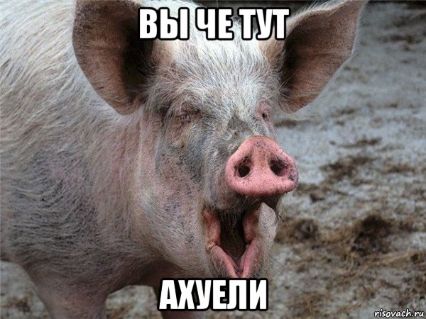 вы че тут ахуели